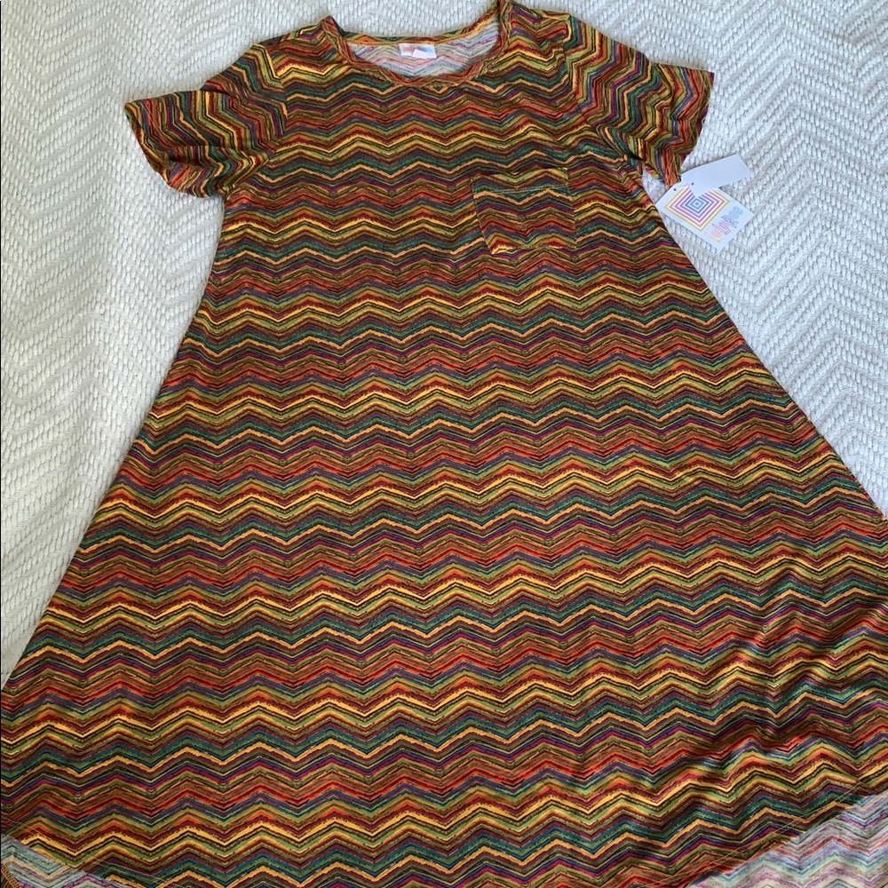 NWT LuLaRoe Carly Dress